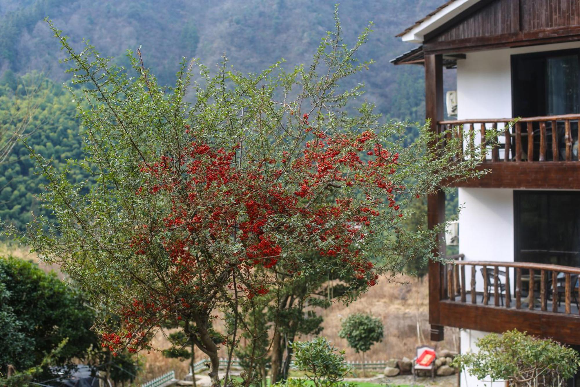 Zhangjiajie Mountainside Bagian luar foto